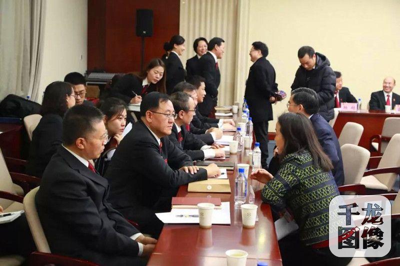 适者生存打一准确生肖请全面2释义、解释与落实、精准解答解释落实