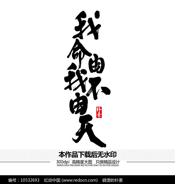 我命由我不由天打一准确生肖请全面释义、解释与落实、专家解答解释落实